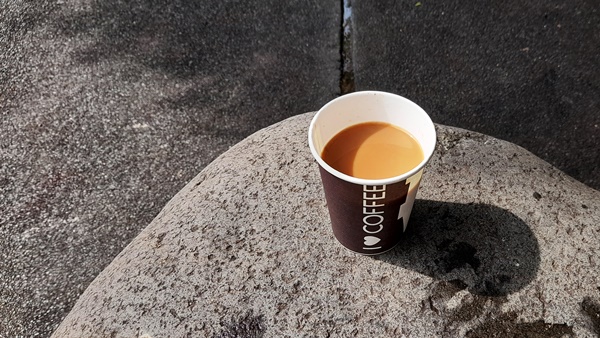 コーヒーカップ　珈琲　日陰　日なた