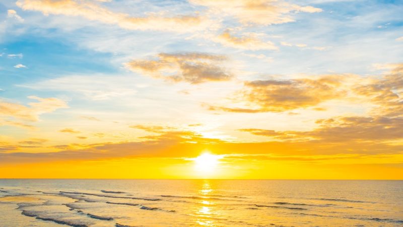 当日　ワキガ剪除法（皮弁法）をしてきた　サムネ